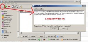 setting up qbittorrent with vpn
